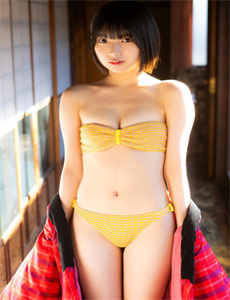冒牌英雄