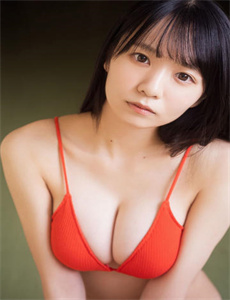 寻龙剑侠赖布衣